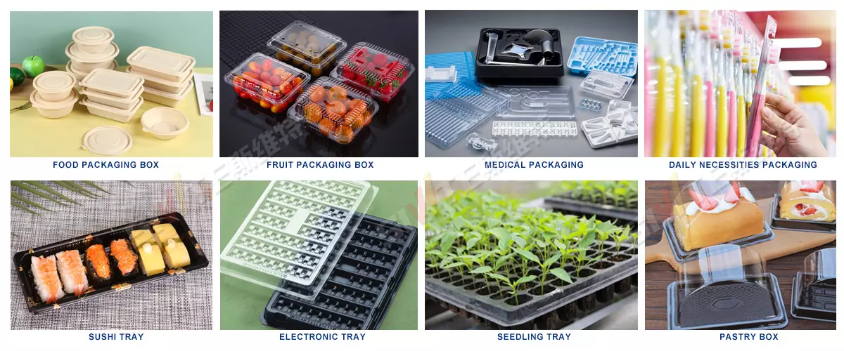 Photos of samples made by SIVITE plastic thermoforming machine