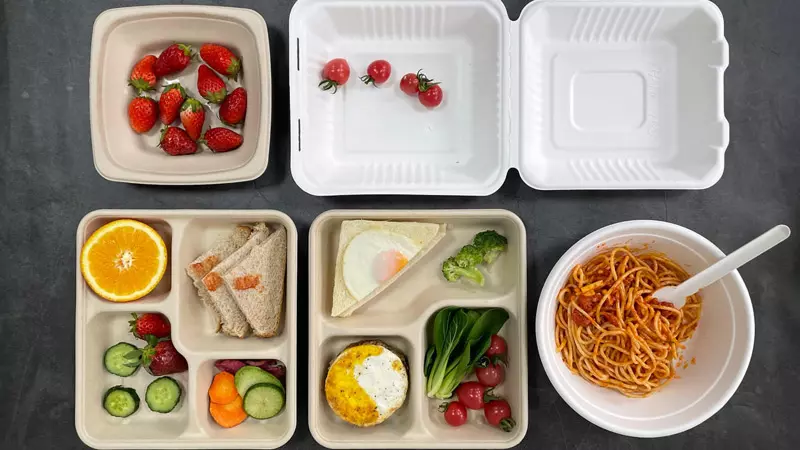 Disposable biodegradable lunch boxes
