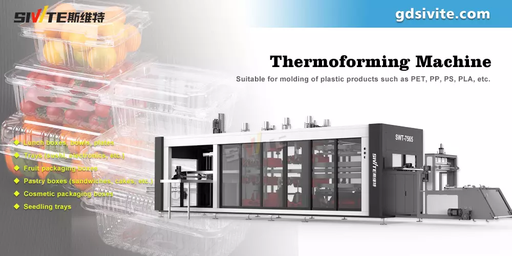 Fruit-box-thermoforming-machine