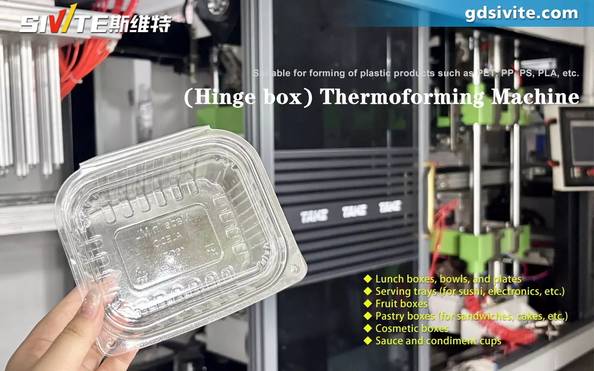 PET hinge box thermoforming machine